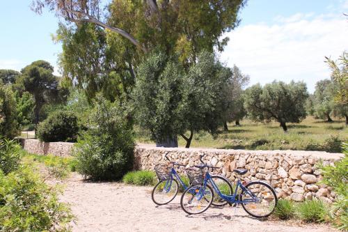 Agroturismo Terreamare
