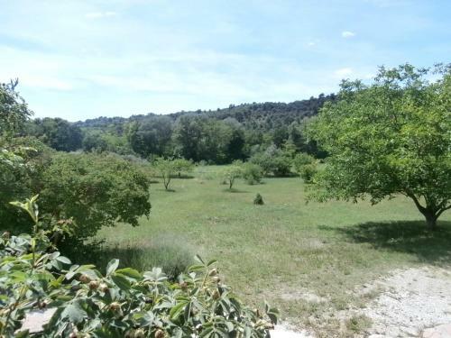 Le Claux Des Hesp�rides