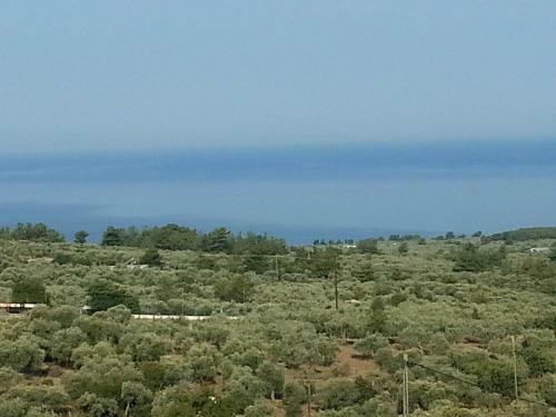 Apartamento Villanta