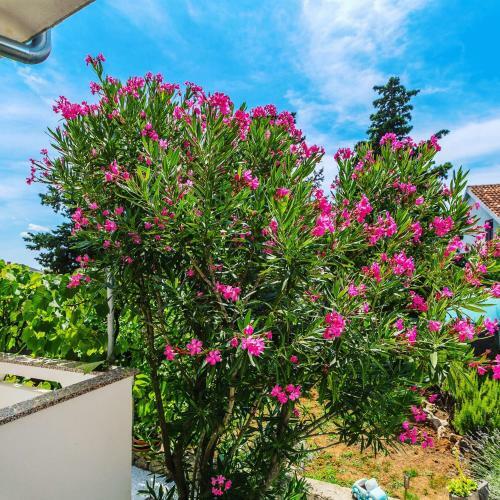 Apartman Hana