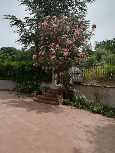 Villetta In Campagna