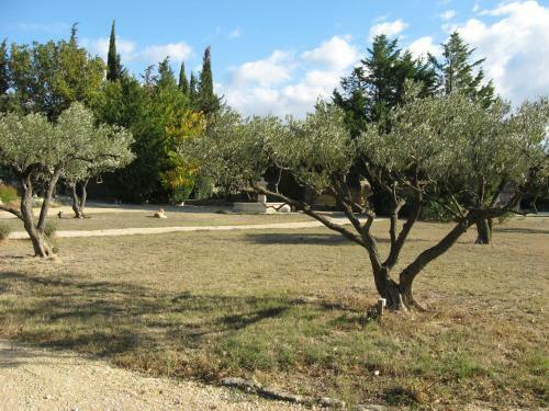 Bed & Breakfast La Fontaine Des Oliviers