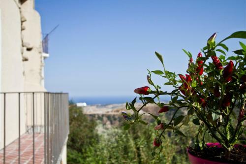 Bed & Breakfast B & B Stillachiara