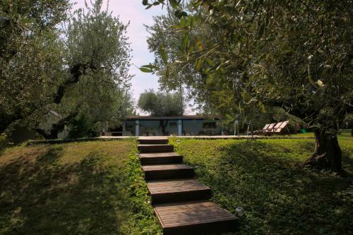 B&B Arli