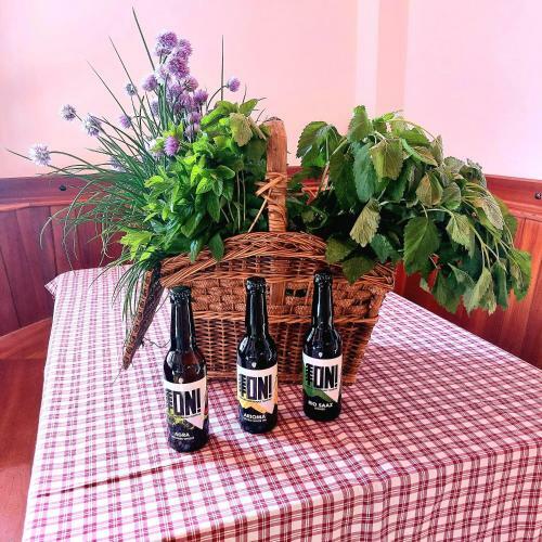 Hostal Room&breakfast Al Canyon