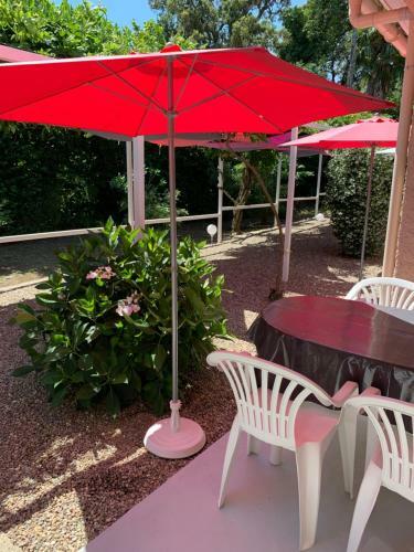 Apartamento Studio 1.5 Km Mer Et 2 Km Cascade
