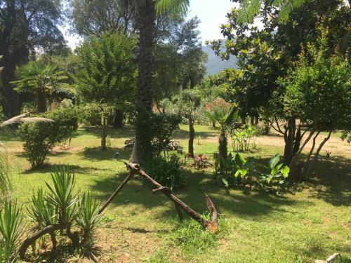 Apartamento Studio 1.5 Km Mer Et 2 Km Cascade