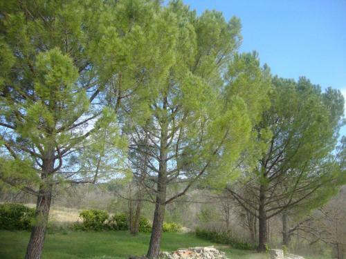 La Croix Du Sud