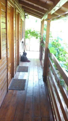 Rustic Rooms