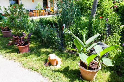 Apartamento Haus Akazie