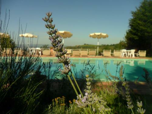 Apartamento Podere Mezzastrada