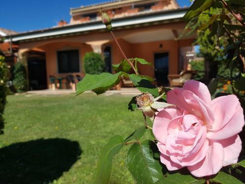B&B Sedici Pini