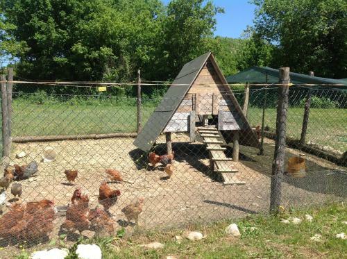 Agroturismo Agriturismo Il Picchio Verde