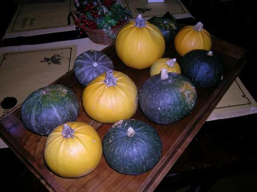 Agroturismo I Costanti