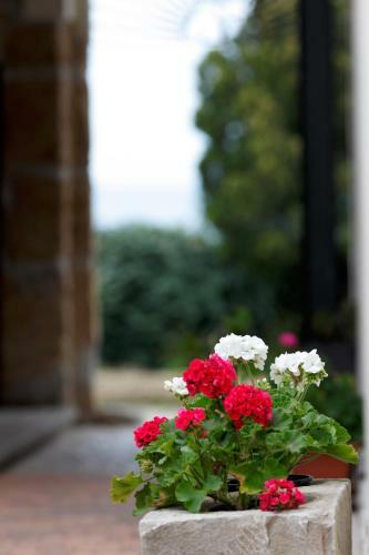 Bed & Breakfast Case Giannone