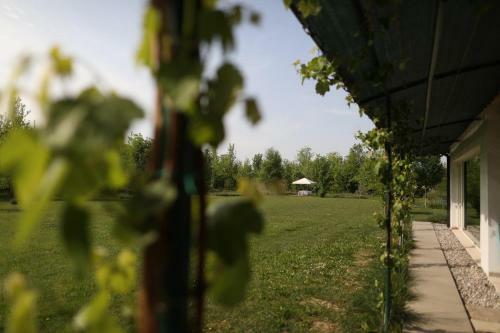 Agroturismo Settecentoalberi