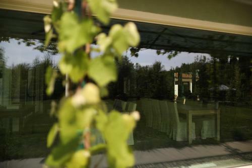 Agroturismo Settecentoalberi