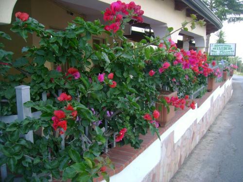 B&B Belvedere