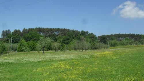 Villa Fontanino