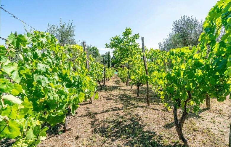 Holiday Home Vitorchiano Vt 46