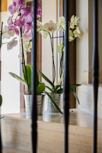 Agroturismo Villa Cascignoli