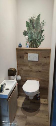 Hostal Chambre Orientale Proche Centre Et Ulg Sart Tilman Chu