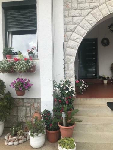 Apartments Porat