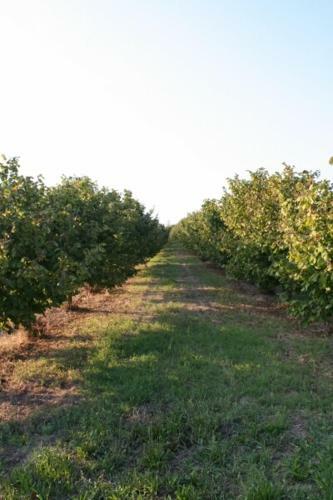 Agroturismo La Quercia Rossa