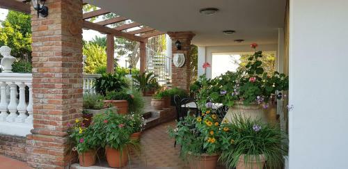 Hotel Ristorante Radar