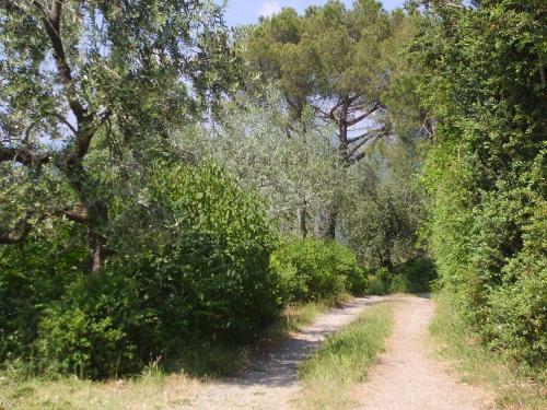 Bed & Breakfast Casa Podere San Firenze