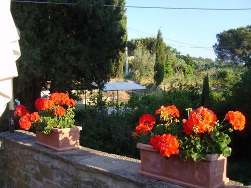 Bed & Breakfast Casa Podere San Firenze