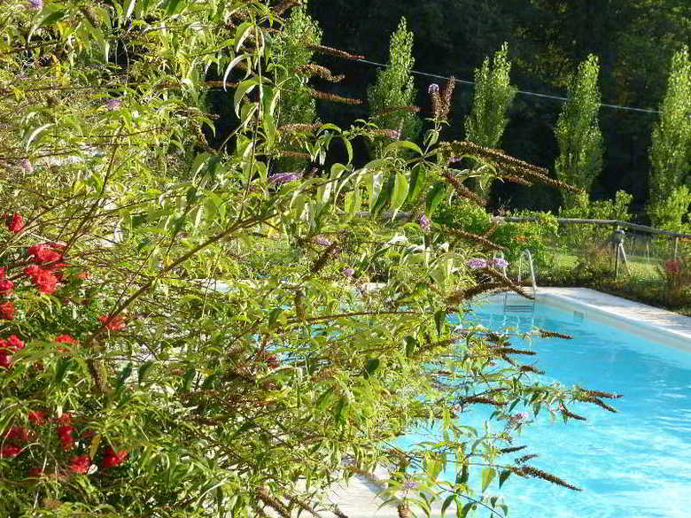 Apartamento Cerqua Rosara Residence
