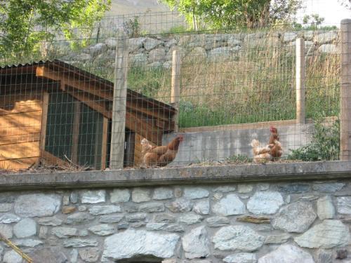 Agroturismo Agriturismo Lo Ratel�