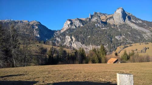 Apartamento Ferienwohnung Kalchofen