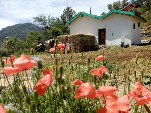 Hotel ?ztuzu Homes