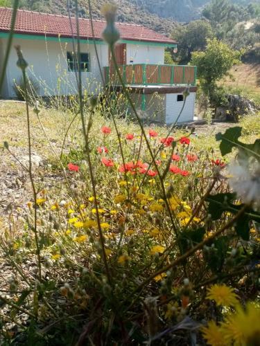 Hotel ?ztuzu Homes
