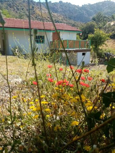 Hotel ?ztuzu Homes