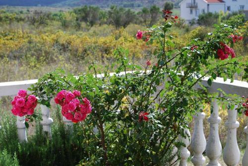 Villa Sabina - Apartments Kroatien
