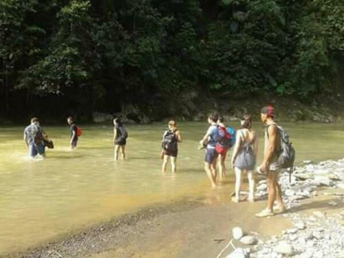 Lovely Jungle Lodge & Treking