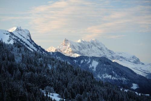 Hotel H�tel Le Relais Alpin