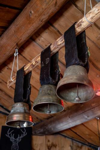 Hotel H�tel Le Relais Alpin