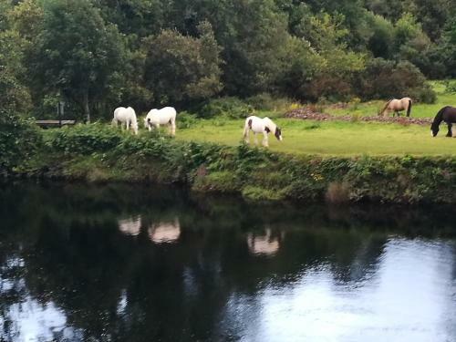 Hostal Watersedge Seaviews