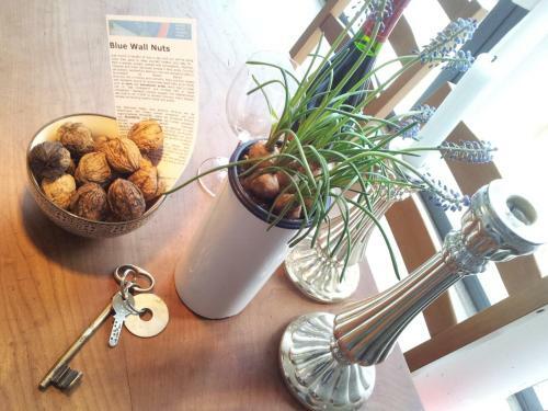 Bed & Breakfast Blue Wall Bnb