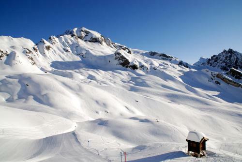 Alpenhotel Zur Wildi