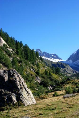 Alpenhotel Zur Wildi