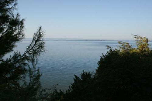 Cosy Apartment By The Sea