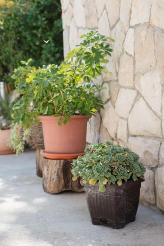 Hostal Guesthouse Sanela