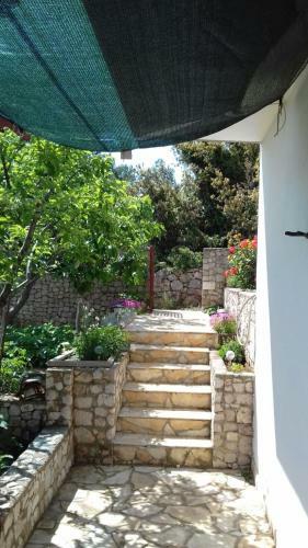 Studio Apartment Zana