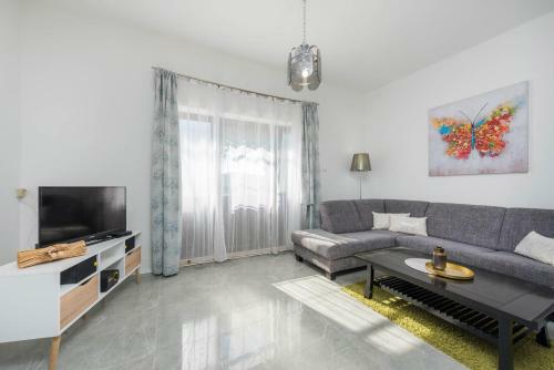 Apartments Panorama