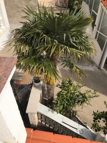 Bed & Breakfast Villa Ana